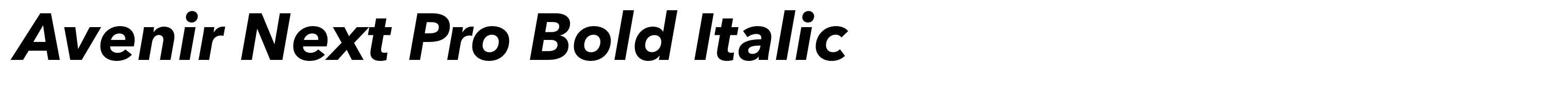 Avenir Next Pro Bold Italic